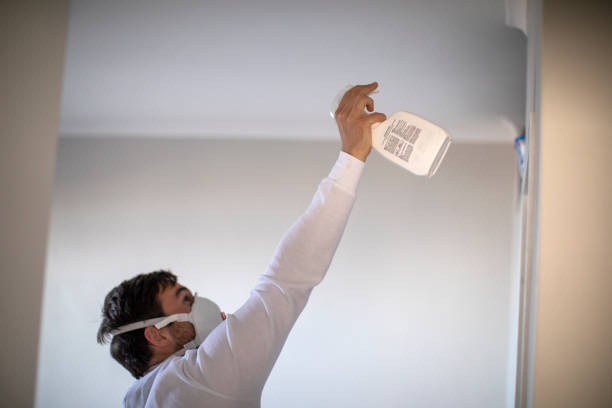 Best Certified Mold Removal  in Walnut, CA