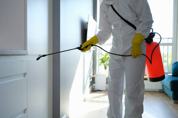 Best Professional Mold Removal  in Walnut, CA