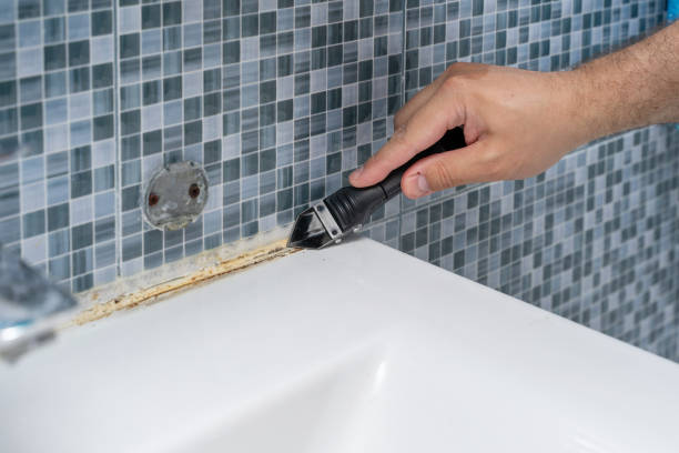 Best Toxic Mold Removal  in Walnut, CA
