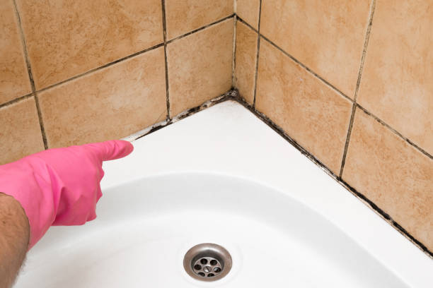 Best Commercial Mold Removal  in Walnut, CA